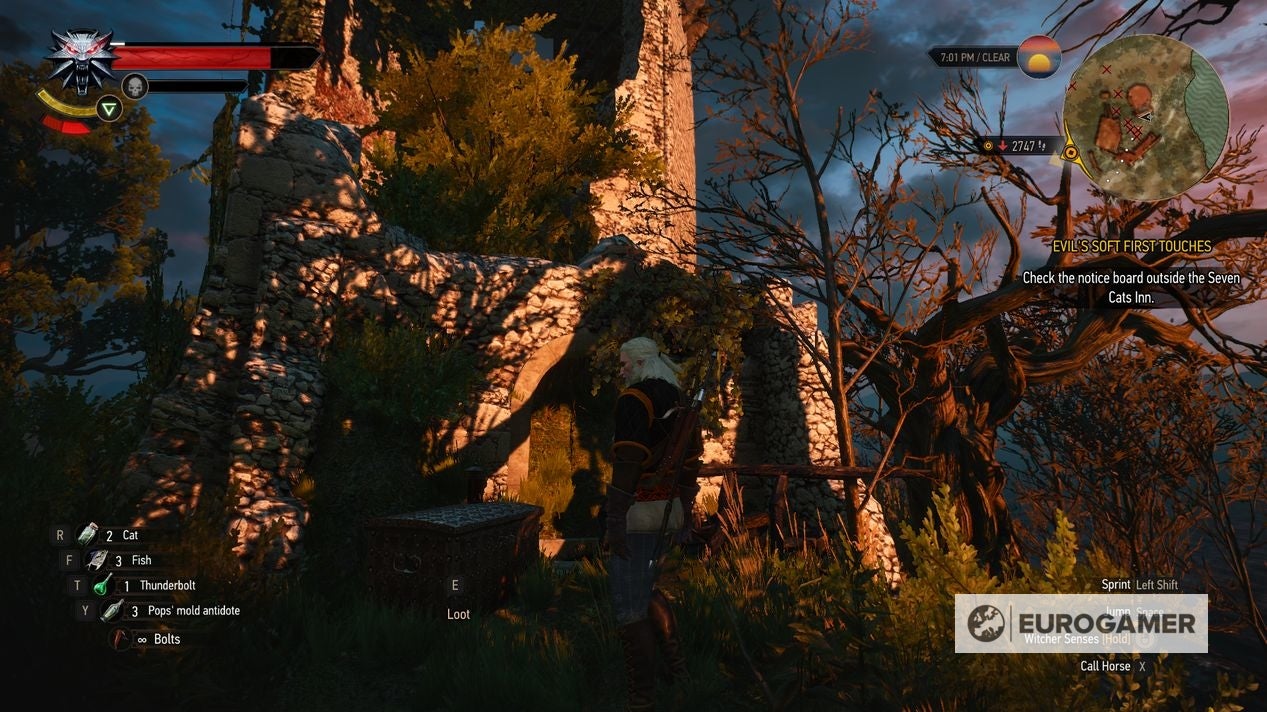 The Witcher 3 Griffin gear How to get all Griffin armor and Griffin